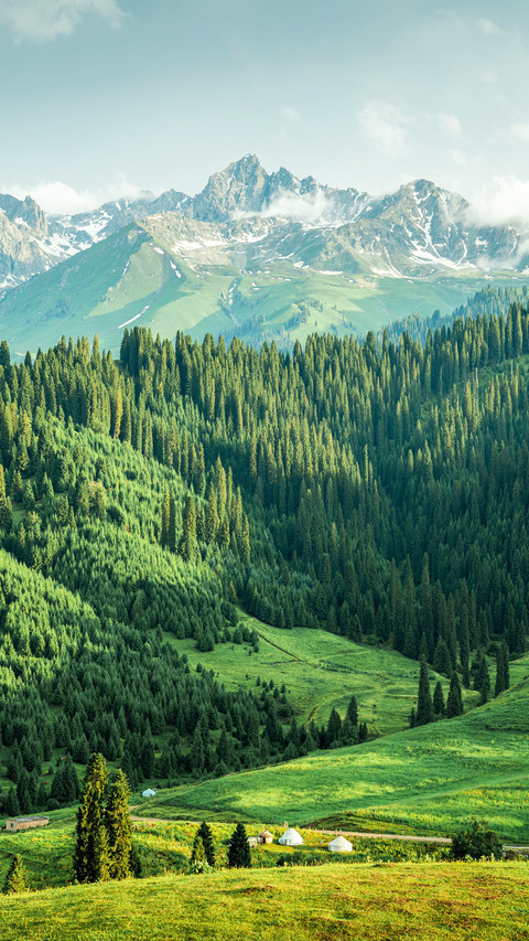 The charm of the chaxi grassland is infinite preview