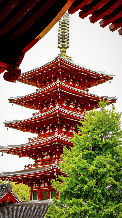 日本门脸浅草寺 preview