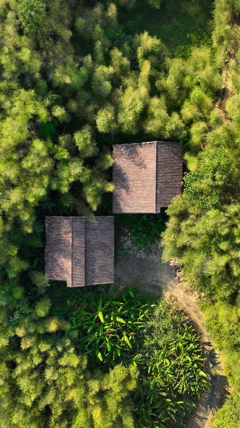 Aerial view of the autumn scenery of danfeng village preview