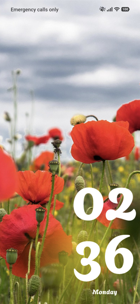 Red Flora preview