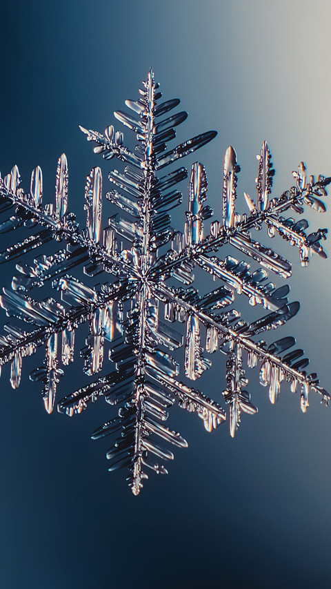 The quiet moment of snowflakes falling preview