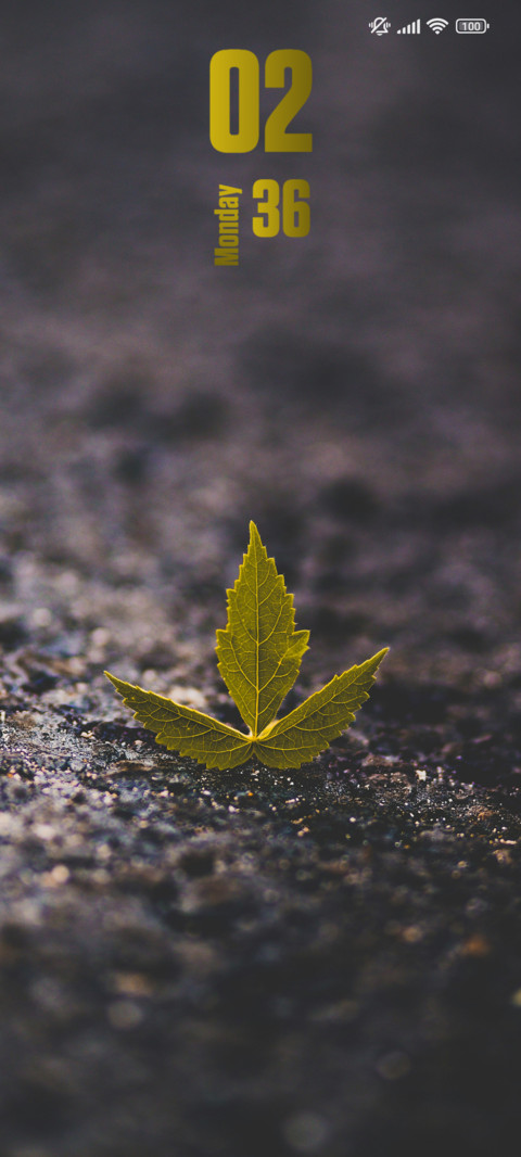 Leaf preview