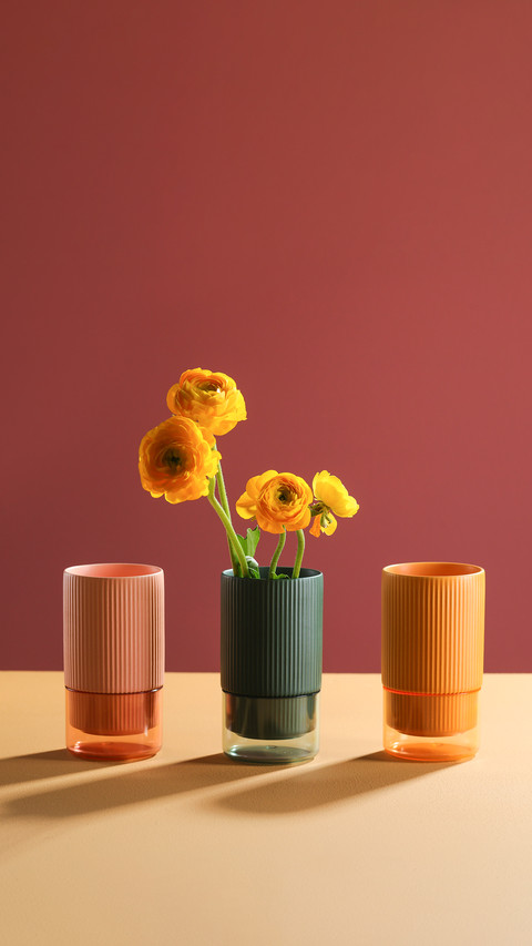 Vase of Flower on Color Background with Shadow preview
