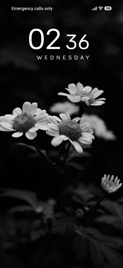 Vintage Bloom preview