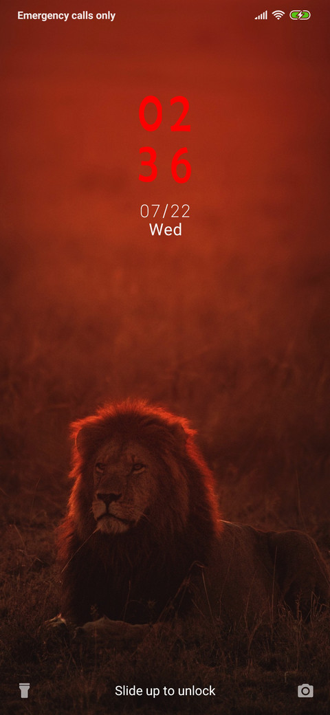 Lion - Monochrome_3MDS preview
