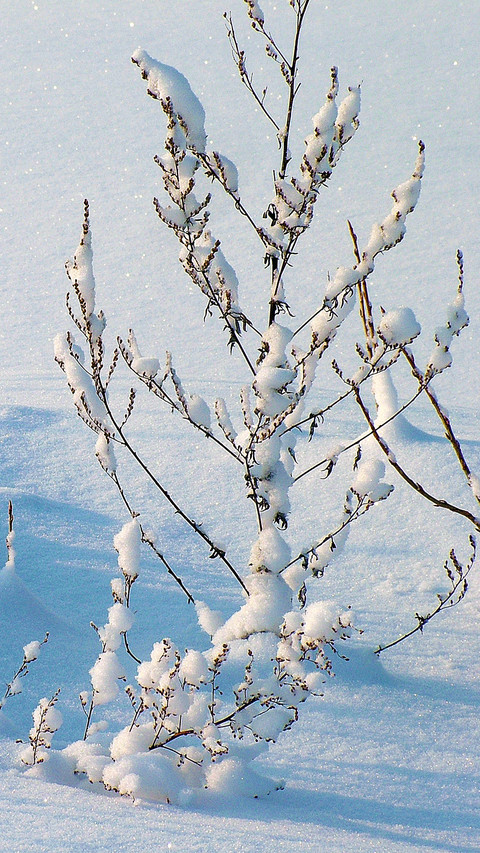 winter (9) preview