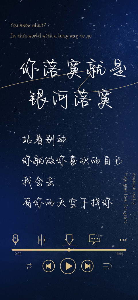 你落寞就是银河落寞 preview