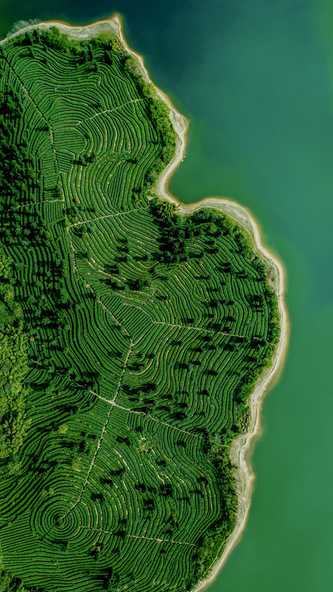 The fingerprint of the earth is in Sichuan 1 preview