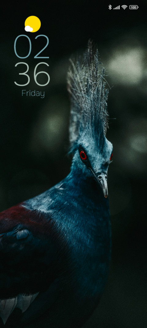 Victoria Pigeon preview