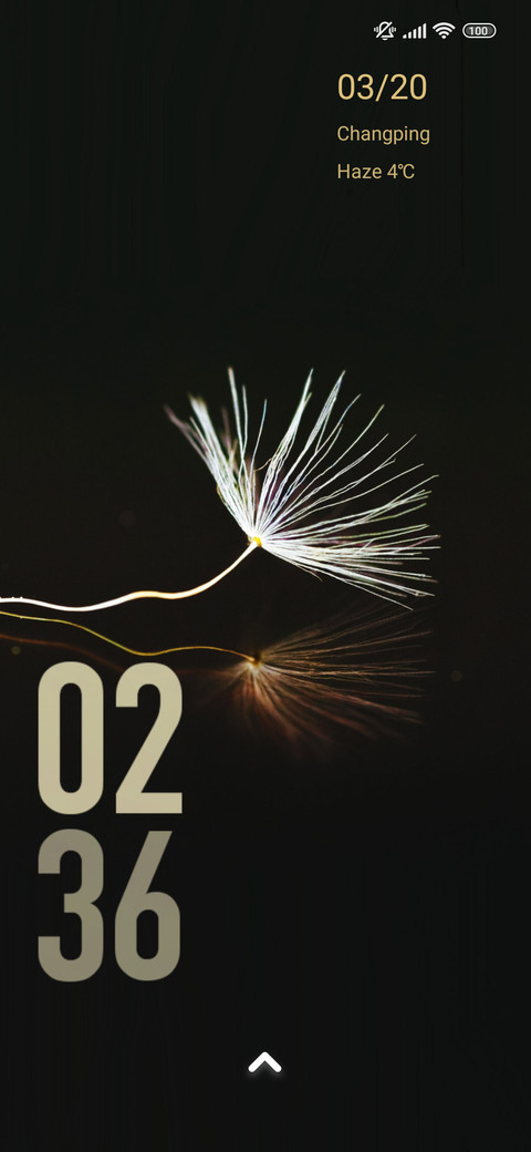 minimal dandelion preview