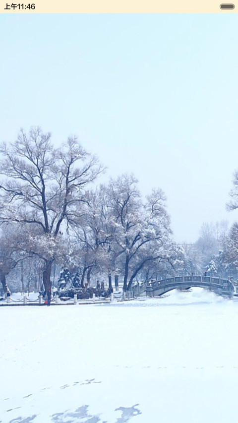 认真的雪 preview