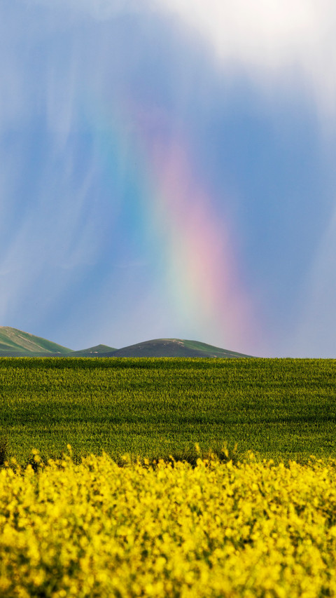 Summer scenery of Zhao Su preview
