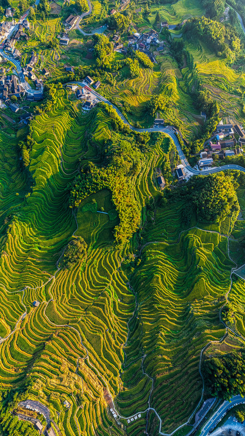 The king of terraced fields in jiangnan preview