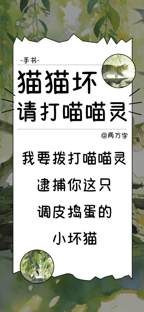 猫猫坏请打喵喵灵 preview