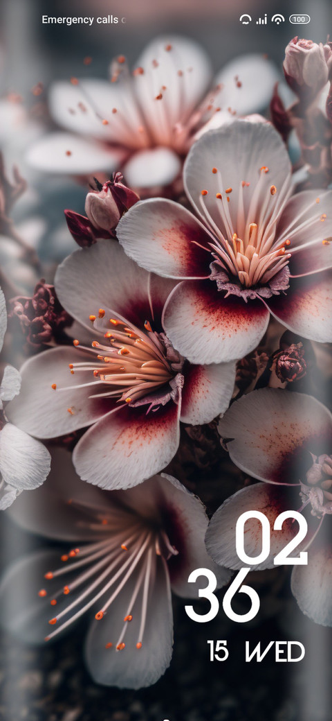 Flower preview