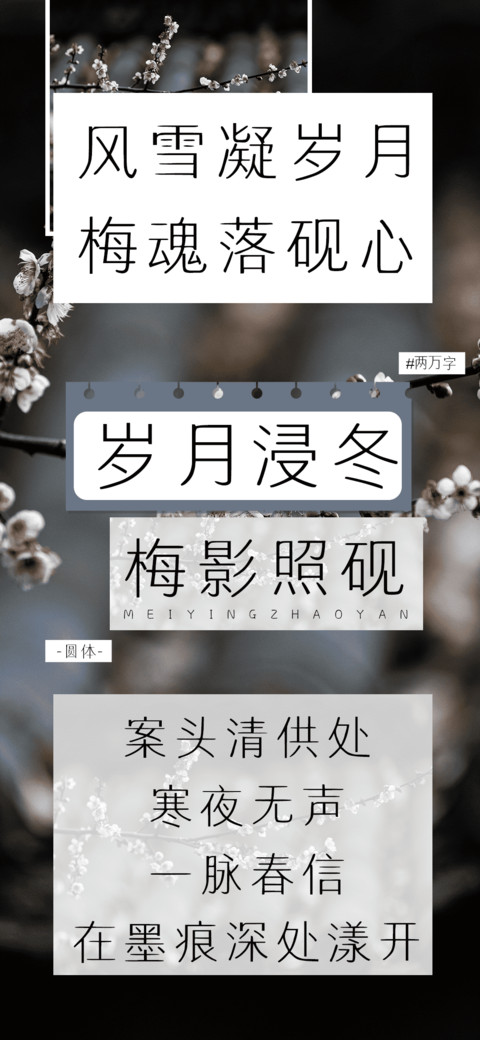 岁月浸冬梅影照砚 preview