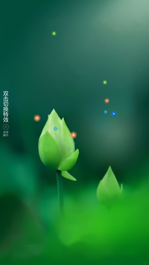 小荷尖尖角 preview