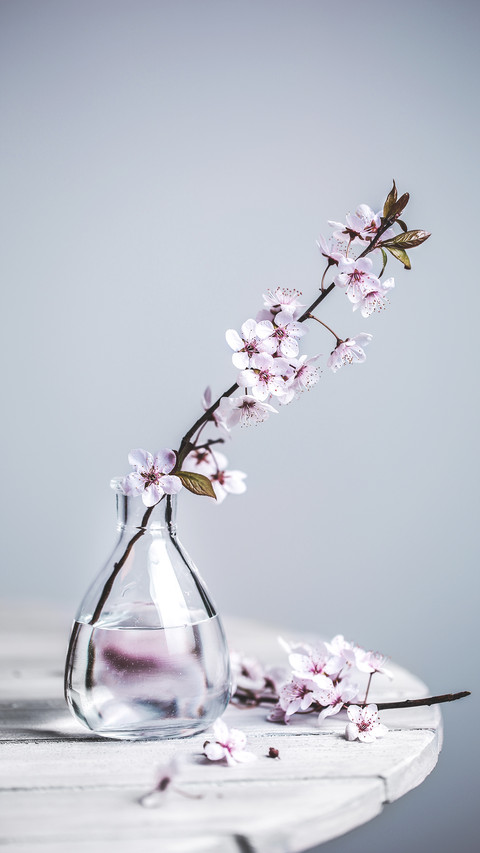 5 minutes learn flower arranging skills 1 preview