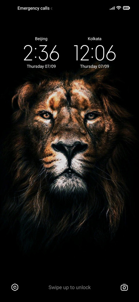 lion miui theme