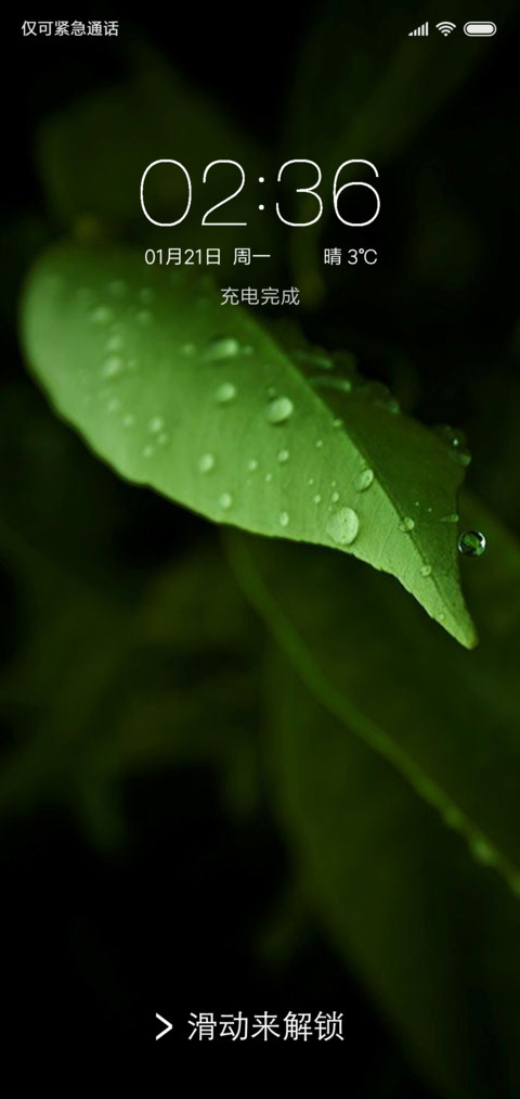 植觉 preview