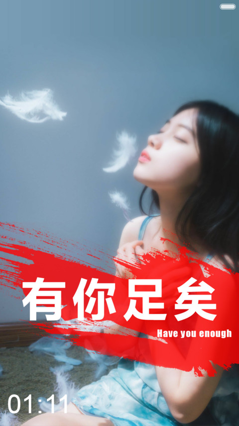 有你足矣（好评送乐视会员） preview