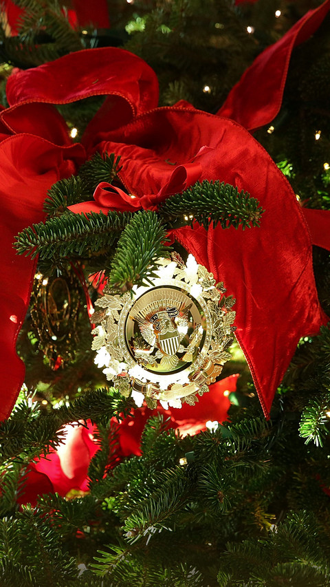 Exposed christmas decorations inside the white house to preview