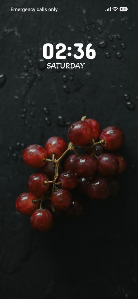 Midnight Berries preview