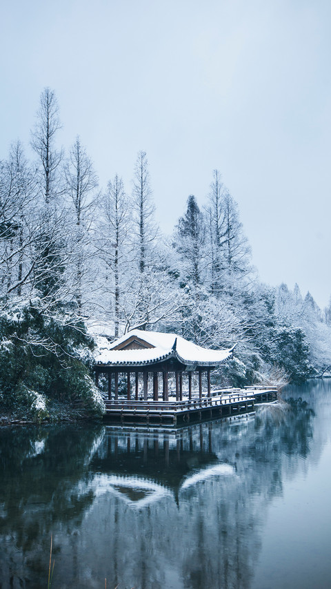 The heavy snowfall has arrived and mid winter has begun preview