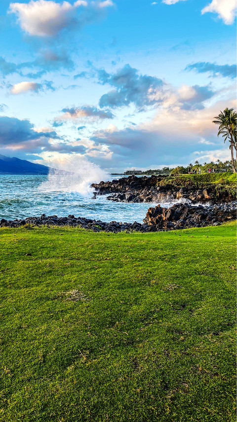 Hawaiian sea view 2 preview