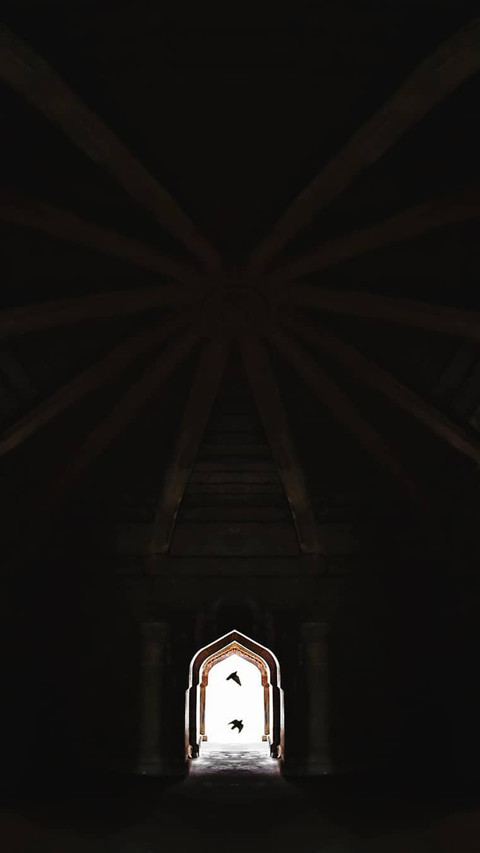 43 preview