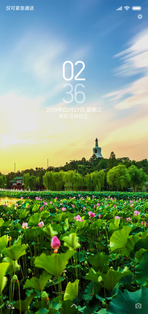 荷莲 preview