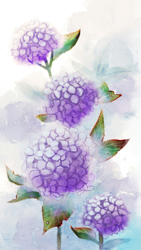 一花一语 preview
