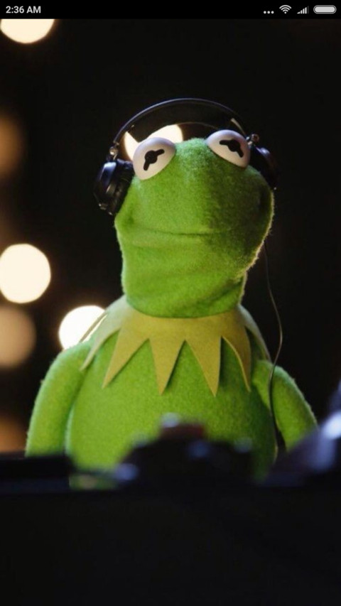 MrKermit T preview