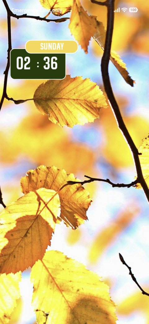 Leaves preview