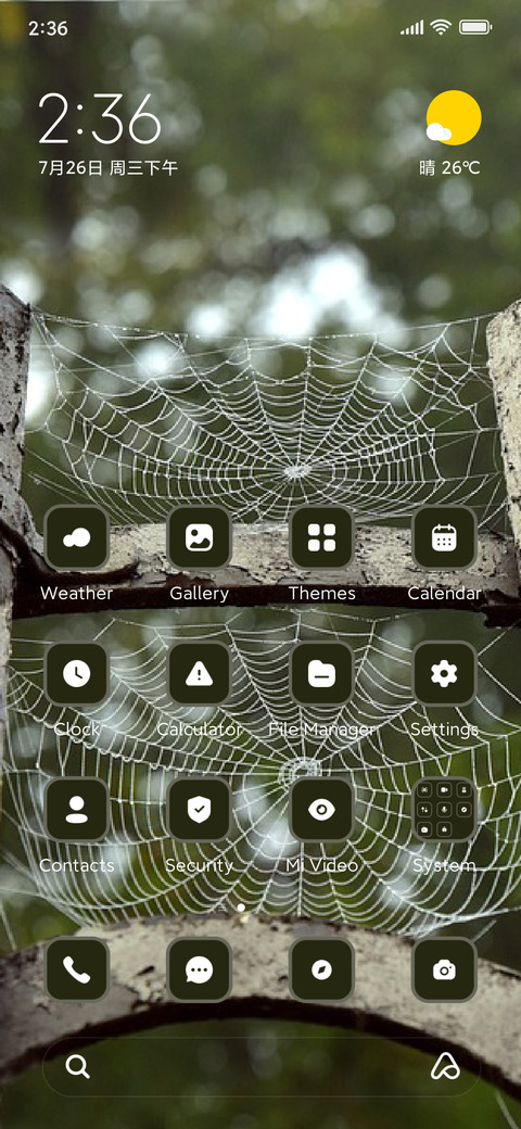 Spider Web preview