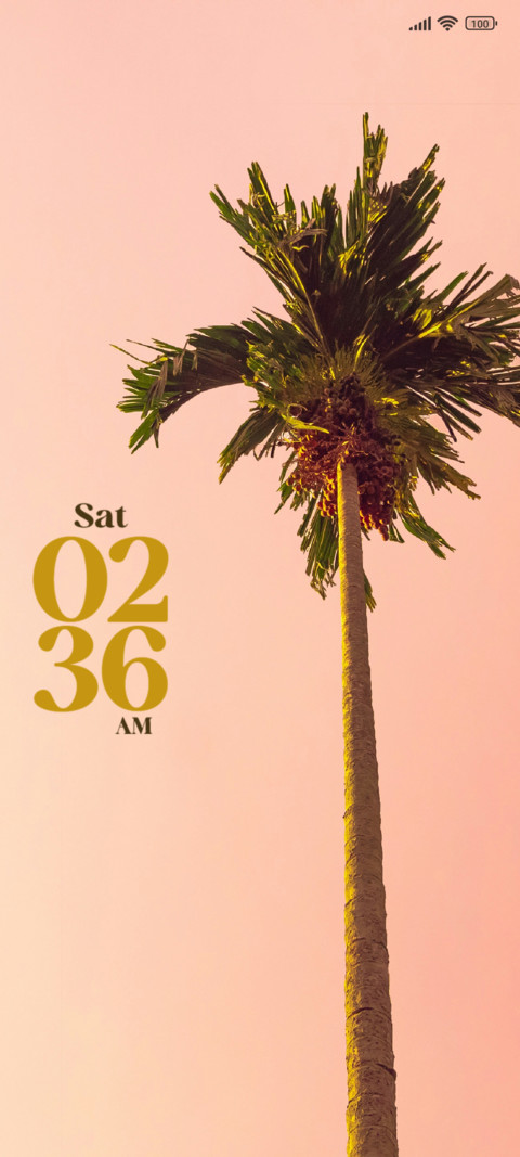 Palm Tree preview