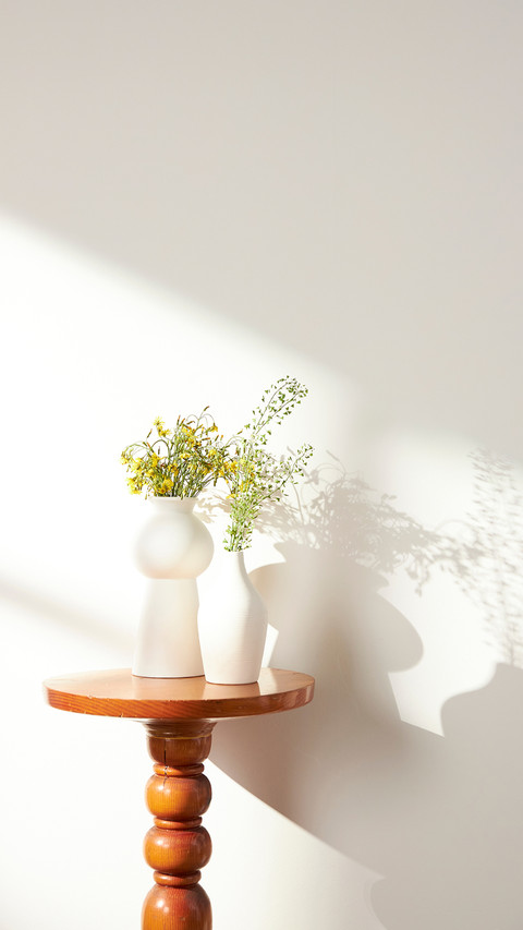 Vases and objects on table in warm, sunlit room preview