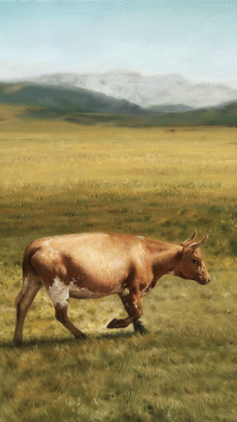画家赵新雨作品 preview
