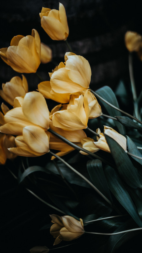 Spring (17) preview