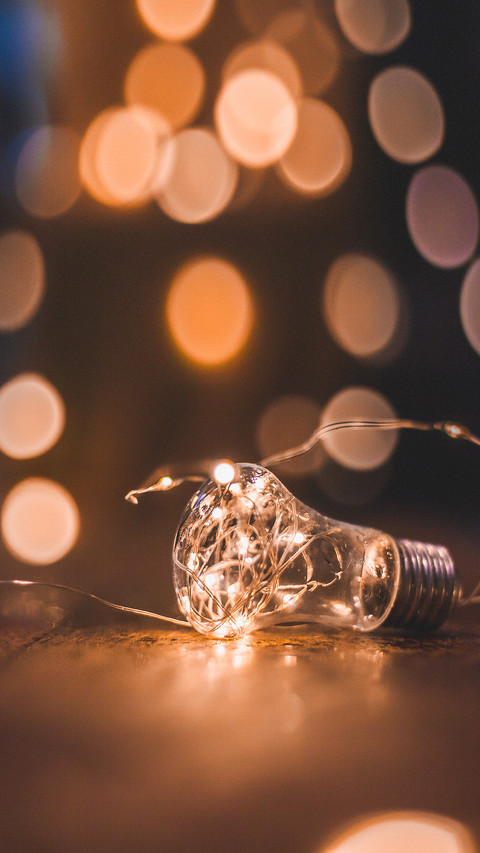 Light Bulbs with Nature preview