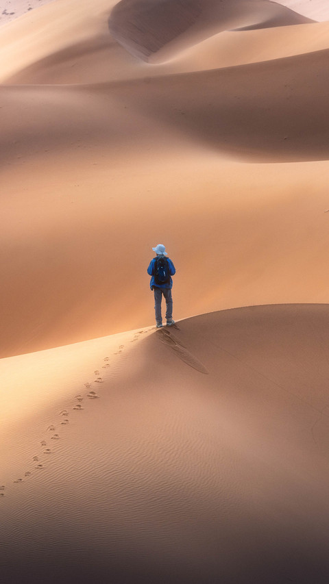 Desert traveler introduction 50 preview
