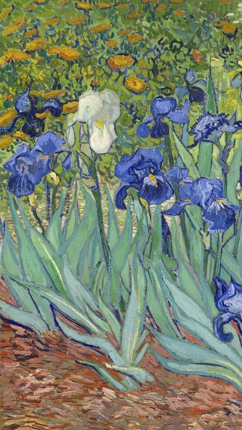 Irises, by Vincent Van Gogh, 1889 preview