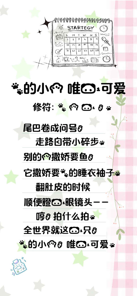 我的小猫 唯一可爱 preview