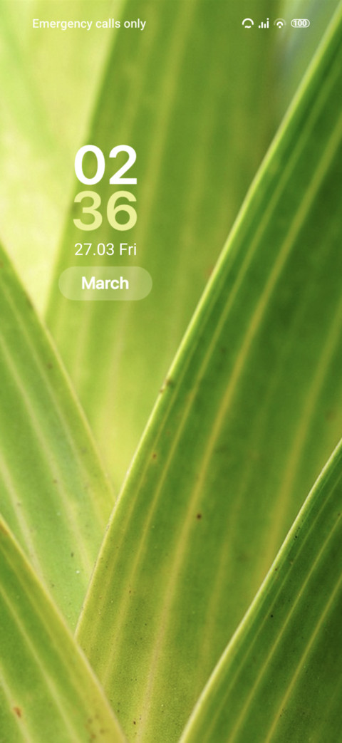 Leaves preview