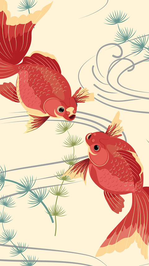 锦鲤插画-拍信图库 preview