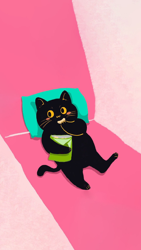 别毁掉了你的猫！ preview