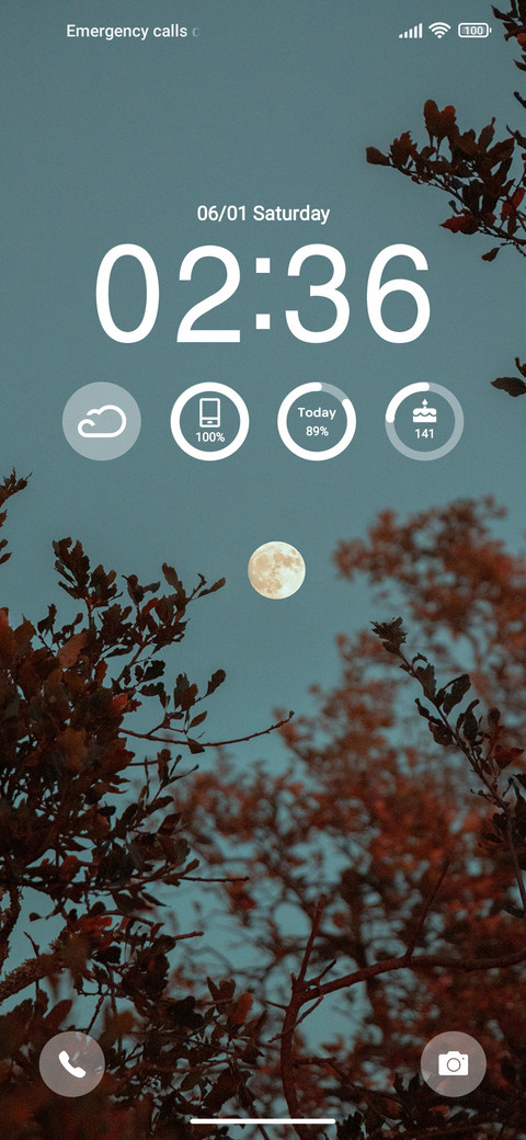 Moon and treetops preview