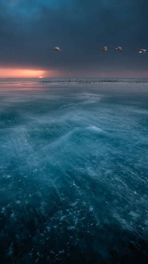 Dreams of the Frozen Lake preview