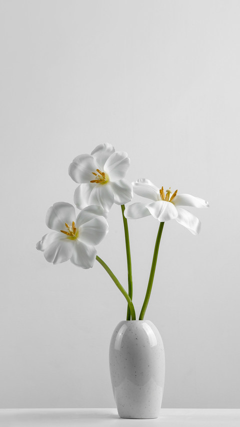 Stylish unusual tulip preview