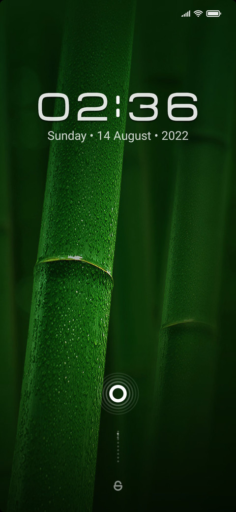 M_5 preview